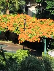 Signature Park (D21), Condominium #589738071